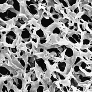 MEMBRANA DURAPORE PVDF HIDROFILA 0.1 UM 47 MM DIAMETRO, BLANCA, SUPERFICIE LISA C/100 MERCK-MILLIPORE