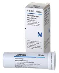Bactident® aminopeptidasa 50 tiras de ensayo para la detección de L-alanina-aminopeptidasa en microorganismos